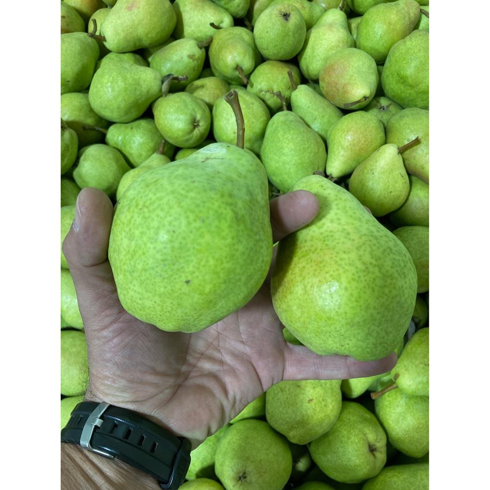 Pear, Bartlett Organic, 3lb